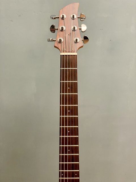 Ampeg ADA-4 Ri Japan, photo 10