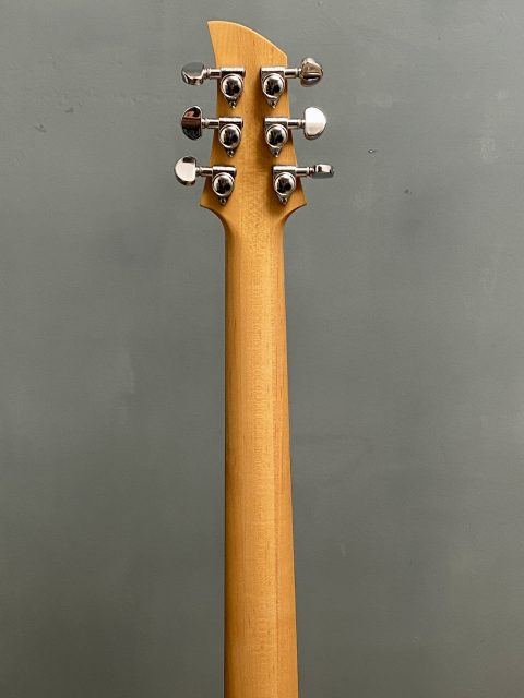 Ampeg ADA-4 Ri Japan, photo 11