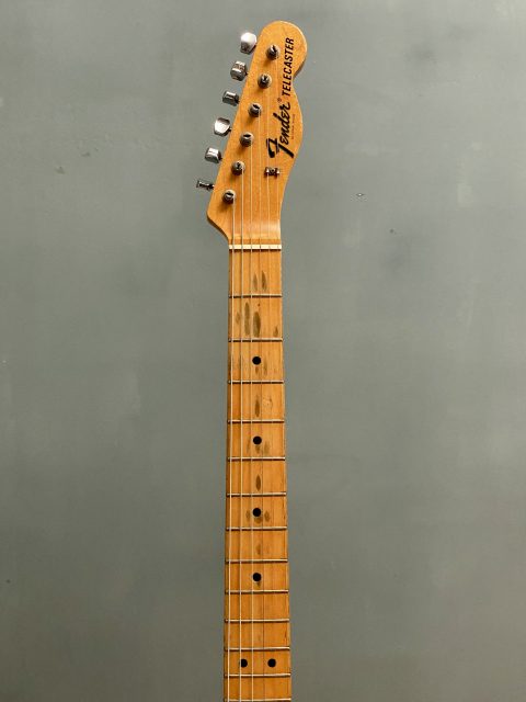 Fender Telecaster Paisley, photo 9