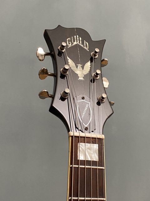 Guild Thunderbird, photo 8