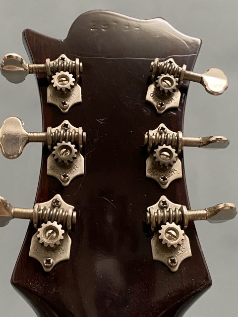 Guild Thunderbird, photo 11