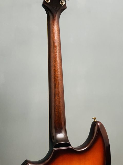 Guild Thunderbird, photo 12