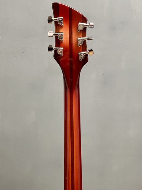 Rickenbacker 330, photo 11